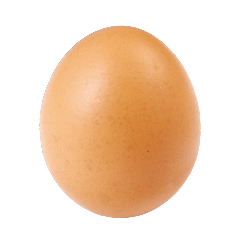 Egg