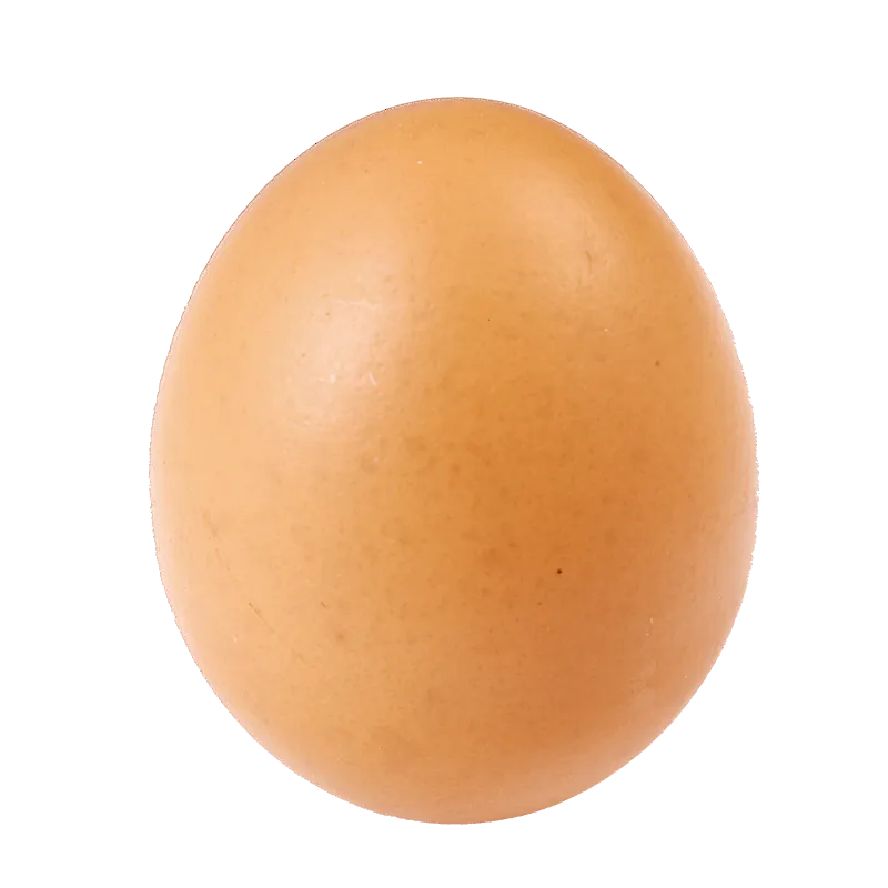Egg